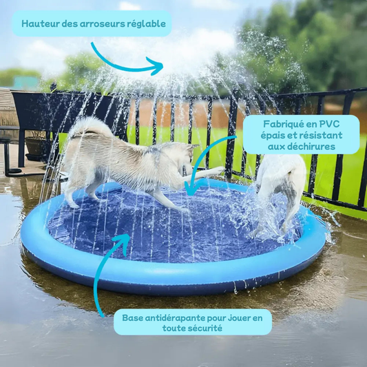 AquaPaws™ – Le Tapis de Jet d’Eau