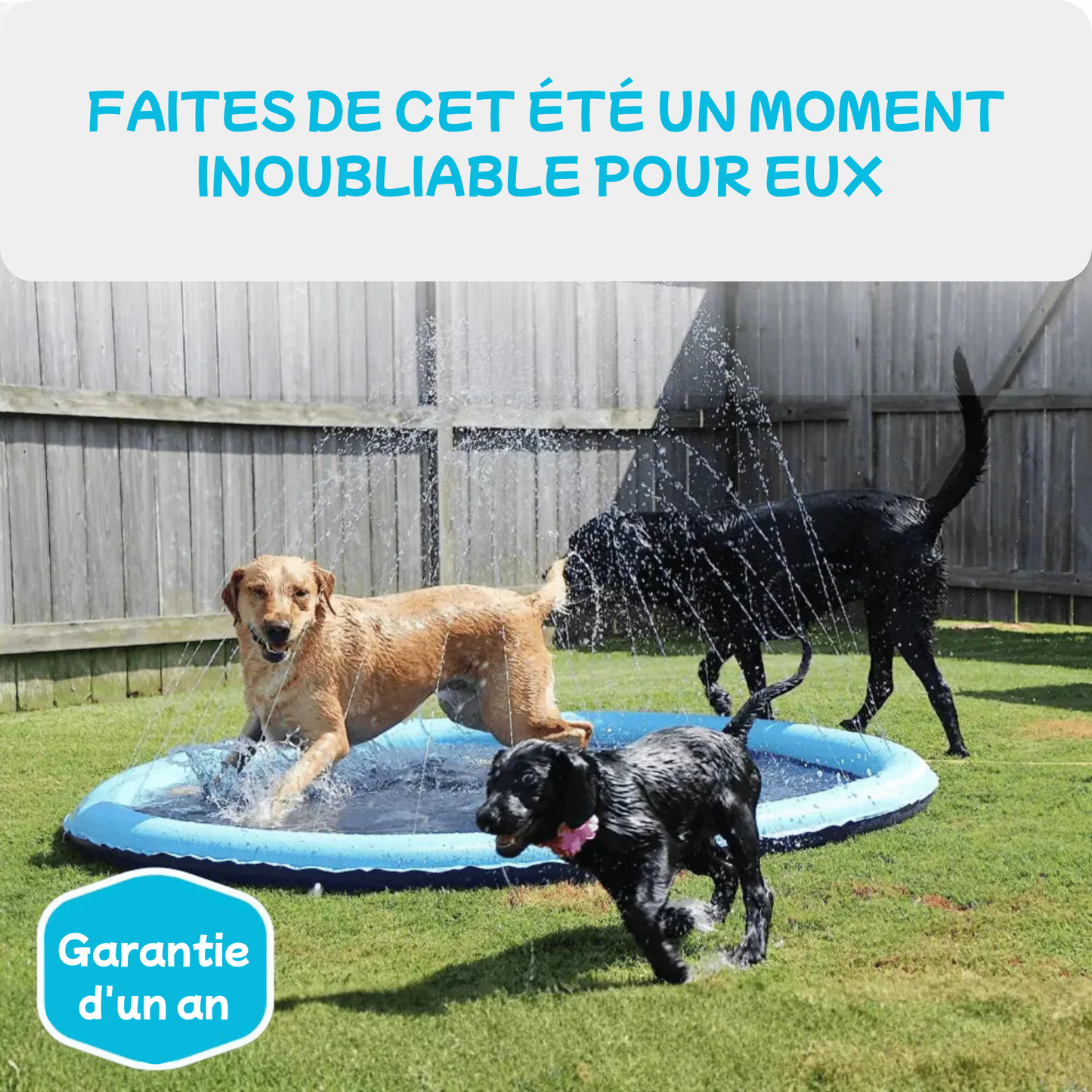 AquaPaws™ – Le Tapis de Jet d’Eau