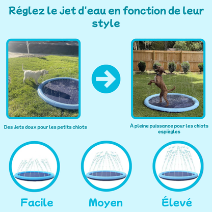 AquaPaws™ – Le Tapis de Jet d’Eau
