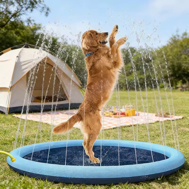AquaPaws™ – Le Tapis de Jet d’Eau